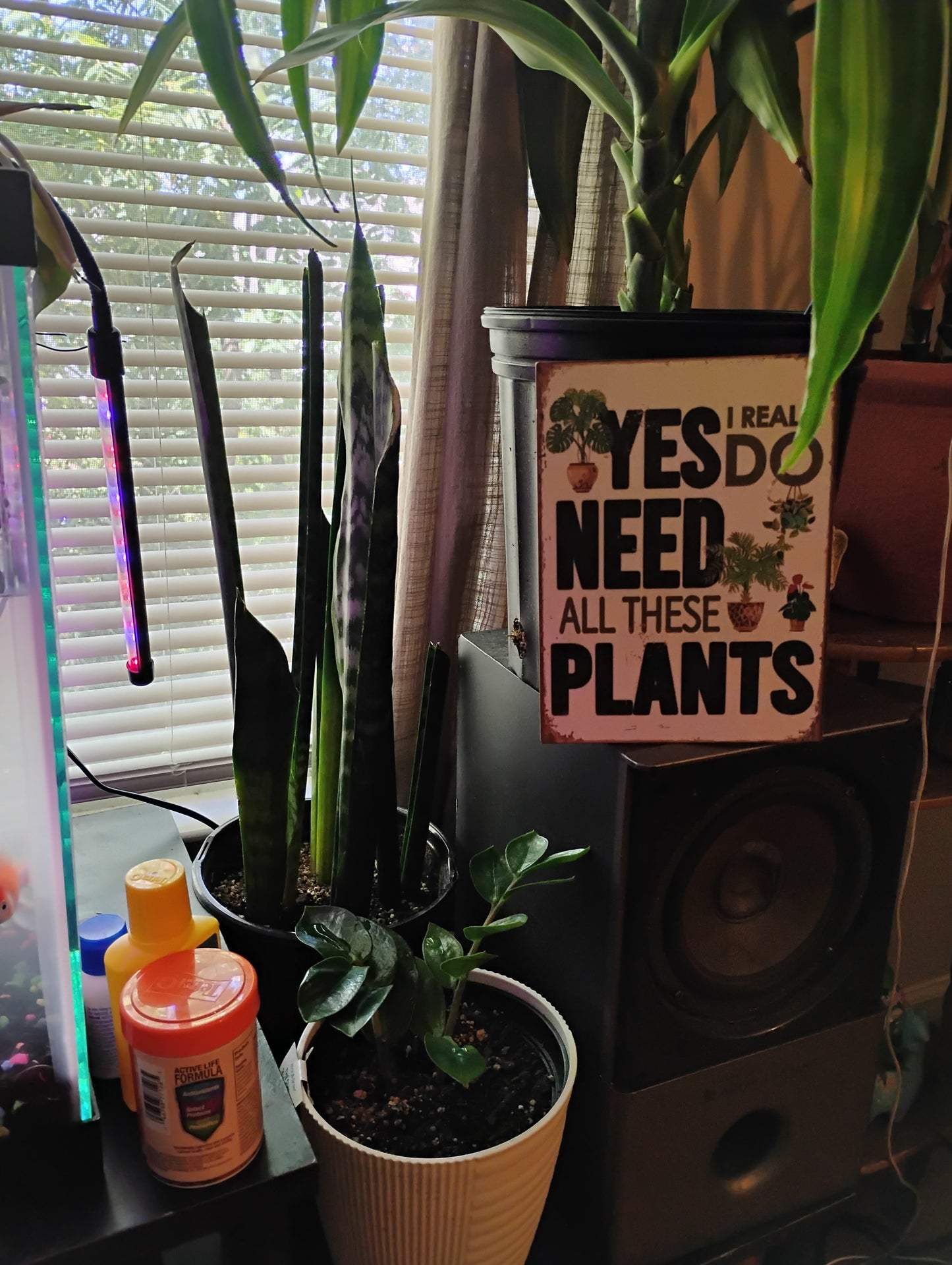 Rustic Wooden Plant Lover Sign 6x8 – “Yes I Really Do Need All These Plants” Wall Décor